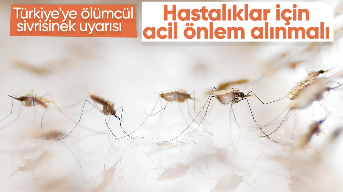 Türkiye’de ölümcül virüs uyarısı: Acil önlemler alınmalı