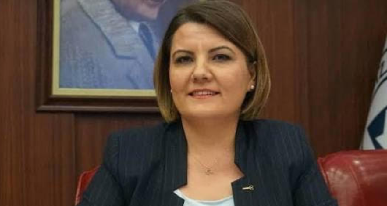 chpli baskandan partisine kongre isyani akplilerle el sikisanlara odun vermedim wa6QNAwq