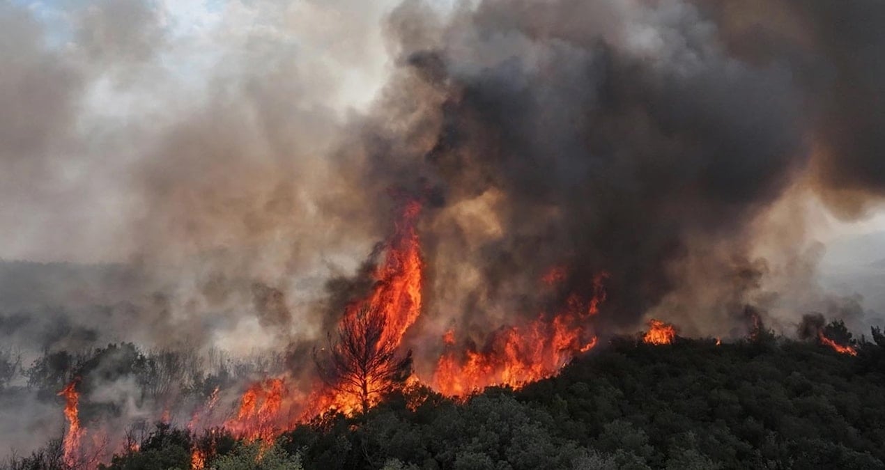 edirne ipsalada aniz yangini agaclik alana sicradi Pr1Dnuhp