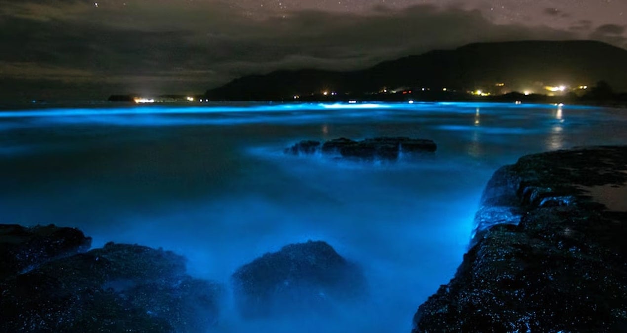 geceleri bu sahili goren gozlerine inanamiyor GHm973md