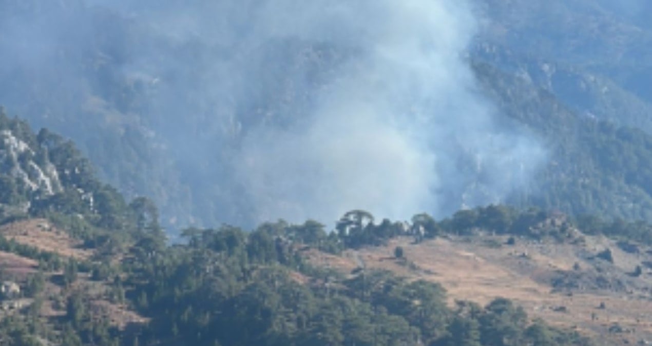 koycegizde orman yangini 6fVchm1E