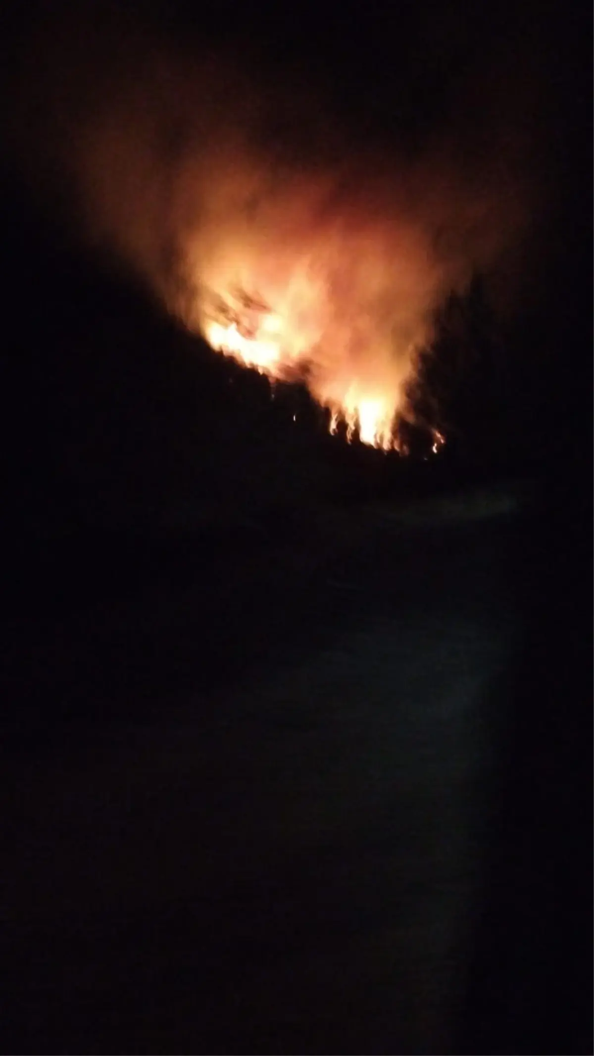 koycegizde orman yangini c23qJDfx