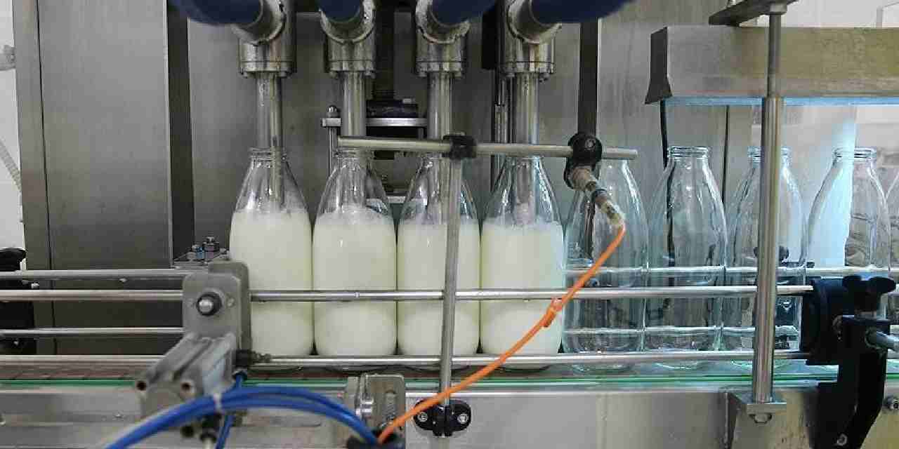 toplanan inek sutu miktari agustosta dustu 7ErwYYFA.jpg