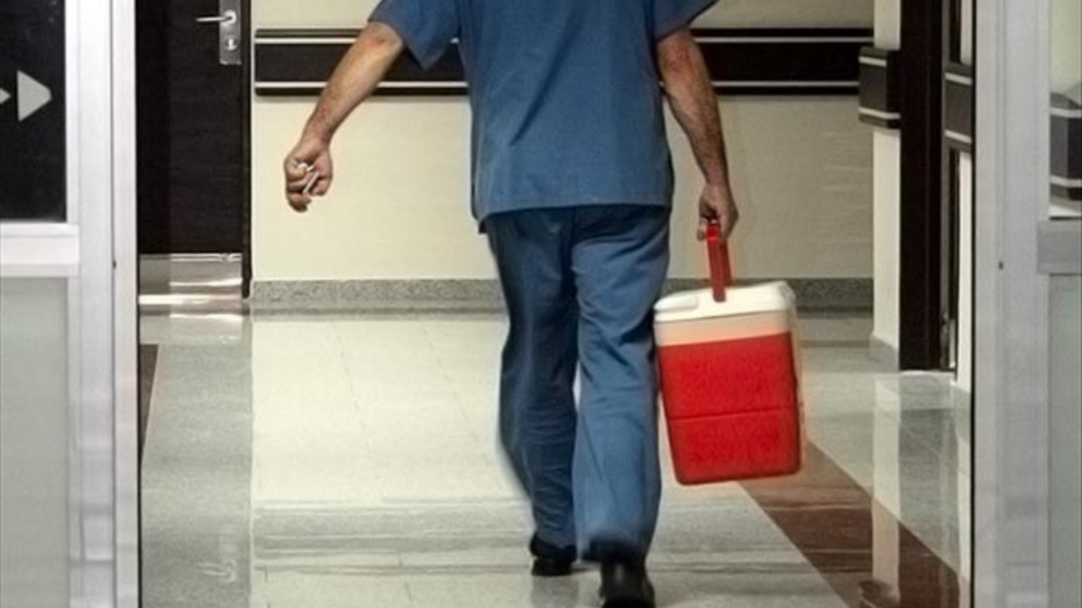 turkiyede 33 bine yakin hasta organ nakli bekliyor tk7CRfl5.jpg