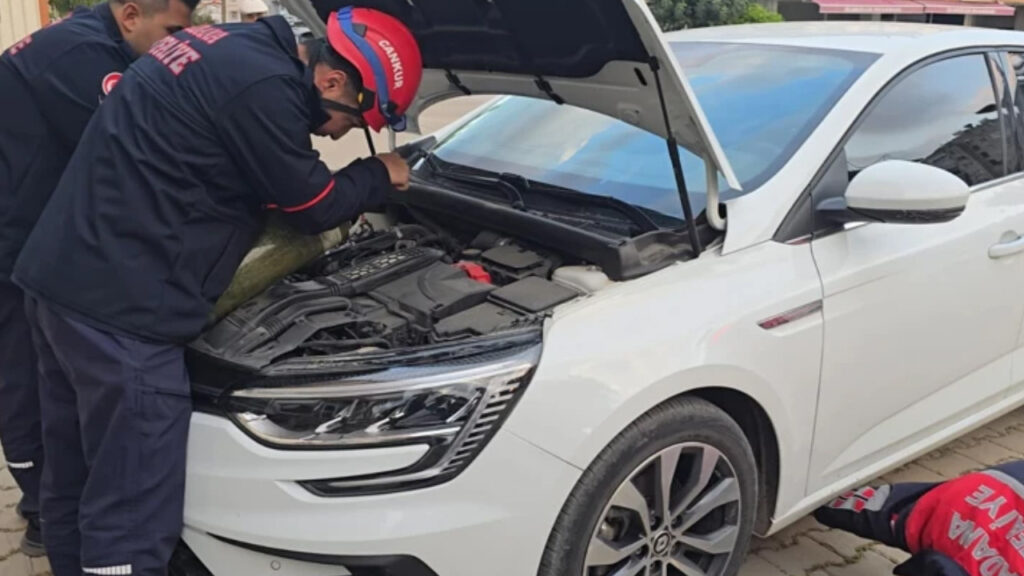yavru-kedi-otomobilin-motor-kismina-girdi-itfaiye-ekipleri-kediyi-boyle-kurtardi-IhJtFls8