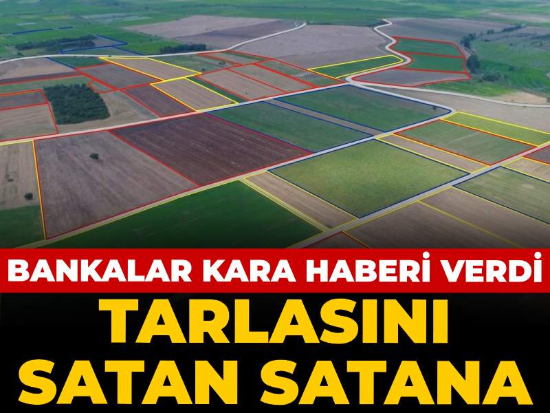 Tarımda Kriz Derinleşiyor: Çiftçiler Tarlalarını Satmak Zorunda Kaldı