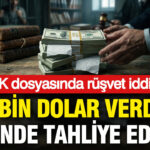 hsk-dosyasinda-rusvet-iddiasi-50-bin-dolar-verdim-18-gunde-tahliye-edildim-tcwynZSr